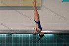 Women's Diving  Wheaton College Women’s Diving vs Mount Holyoke College. - Photo by Keith Nordstrom : Wheaton, Swimming & Diving